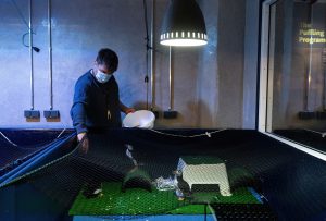 Puffin Rescue at Sea Life Trust in Iceland