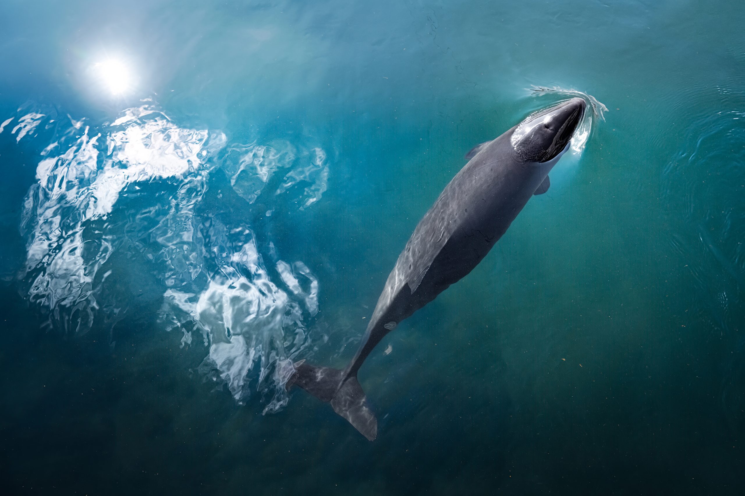 Publication in National Geographic Netherlands