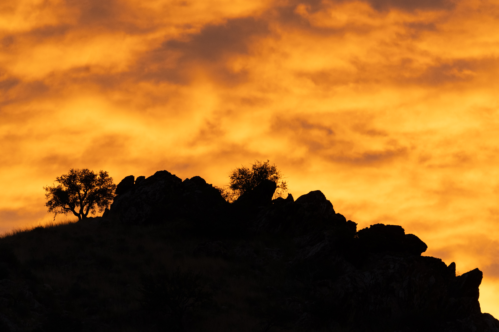 Landscape in Namibia